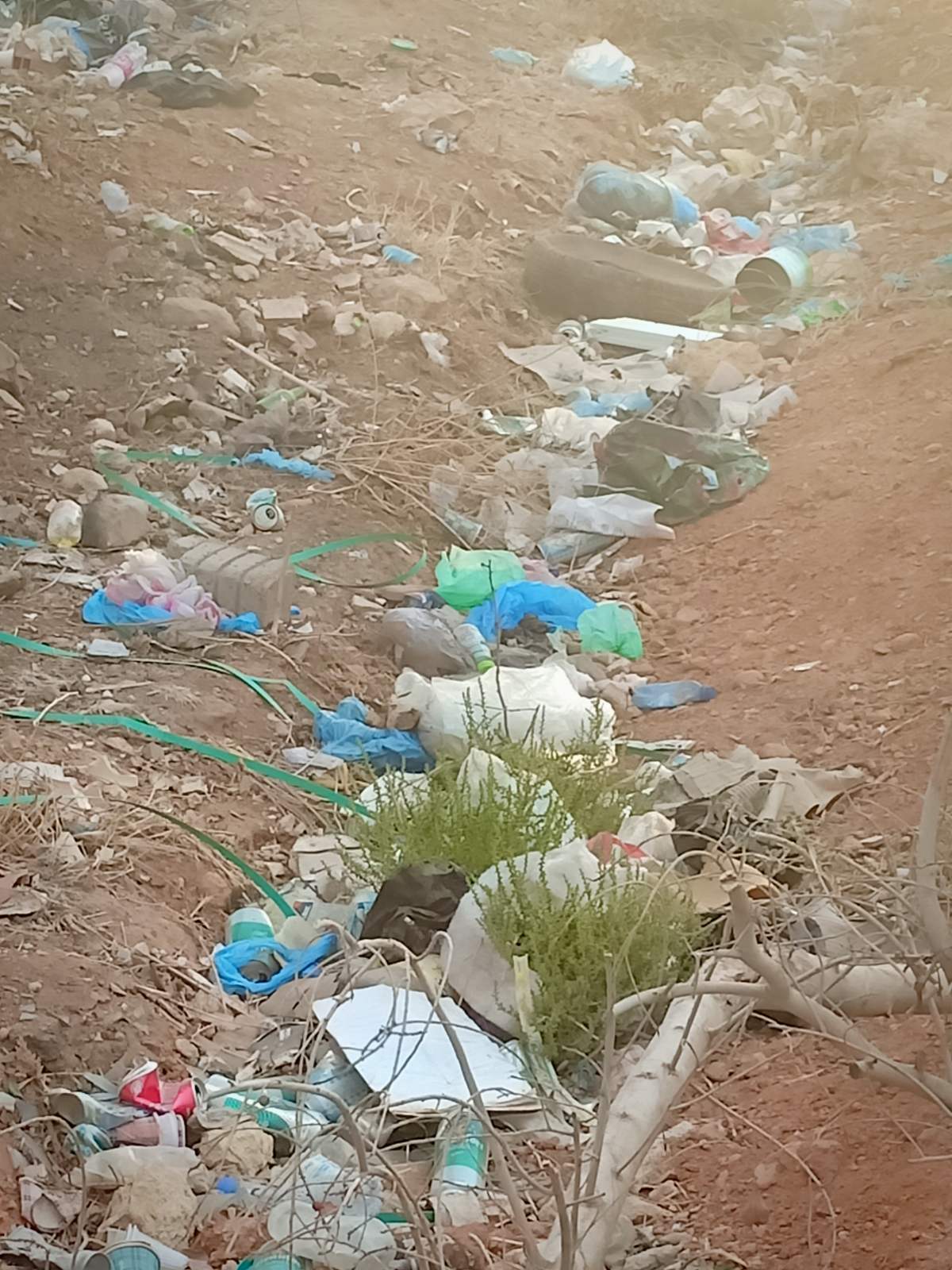 جمع نفايات البلاستكية