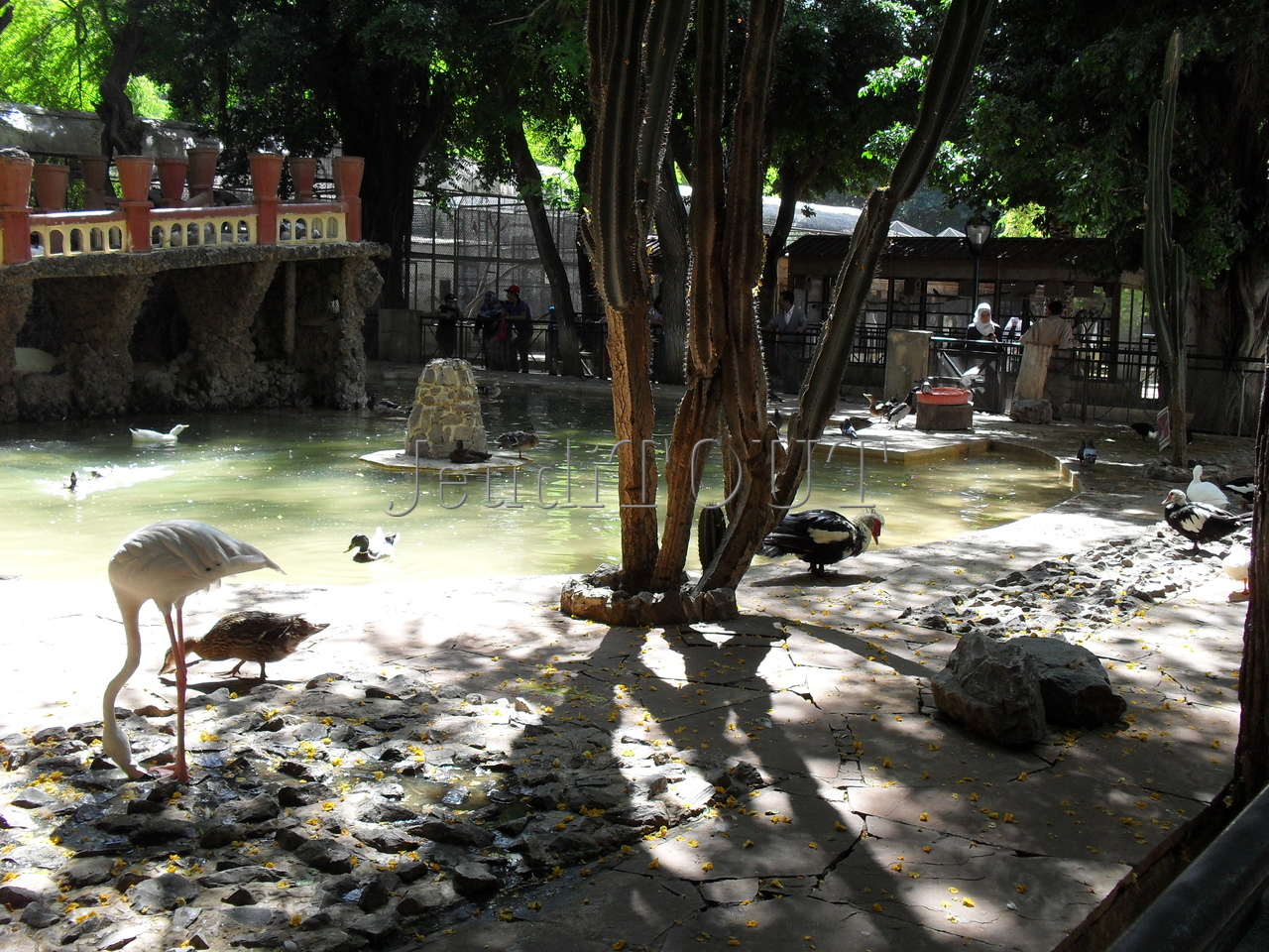 Jardin d'essai-le Jardin zoologique