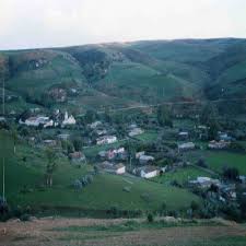 احرار ابيض مجاجة