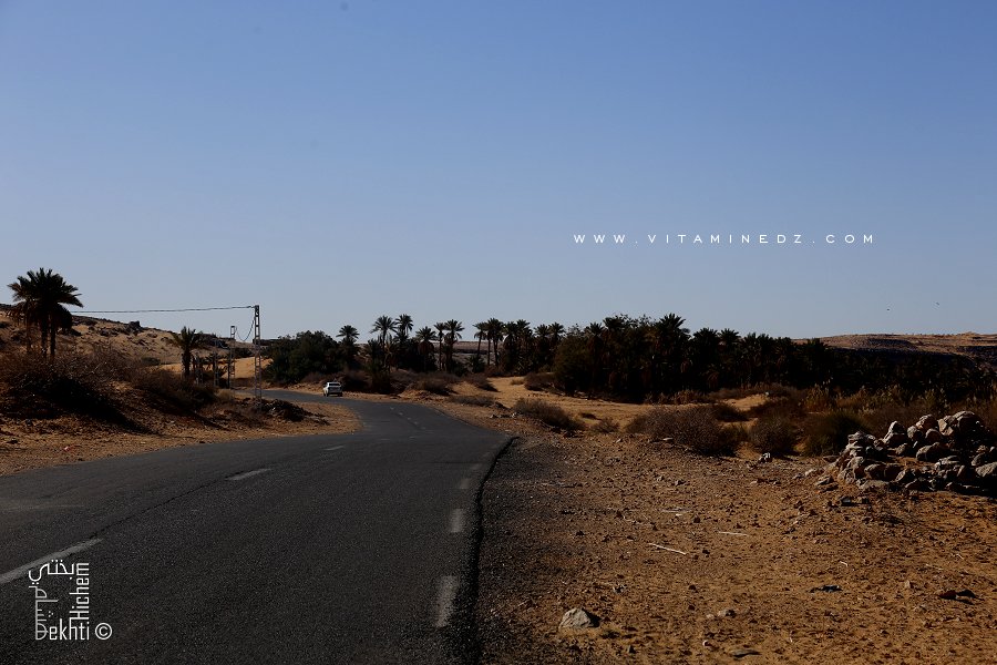 Taghit, route de la palmeraie menant vers Zaouia Tahtania