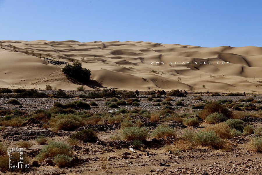 Oued Zousfana non loin de Taghit