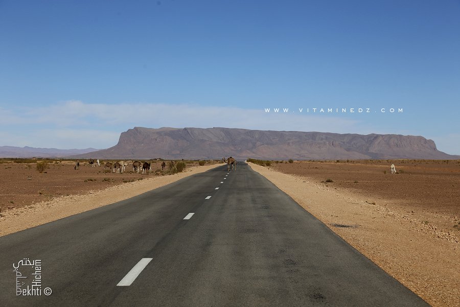 Djbel (Mdaouer) Sidi Moumen Route de Taghit - Oued Ennamous