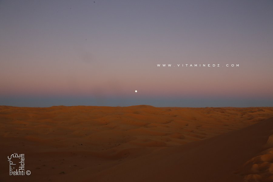 Taghit : dunes du Grand Erg Occidental