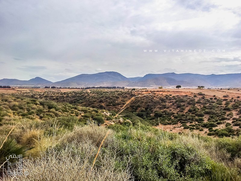 Fermes agricole à Tagma, le Oud Chouly passe par là