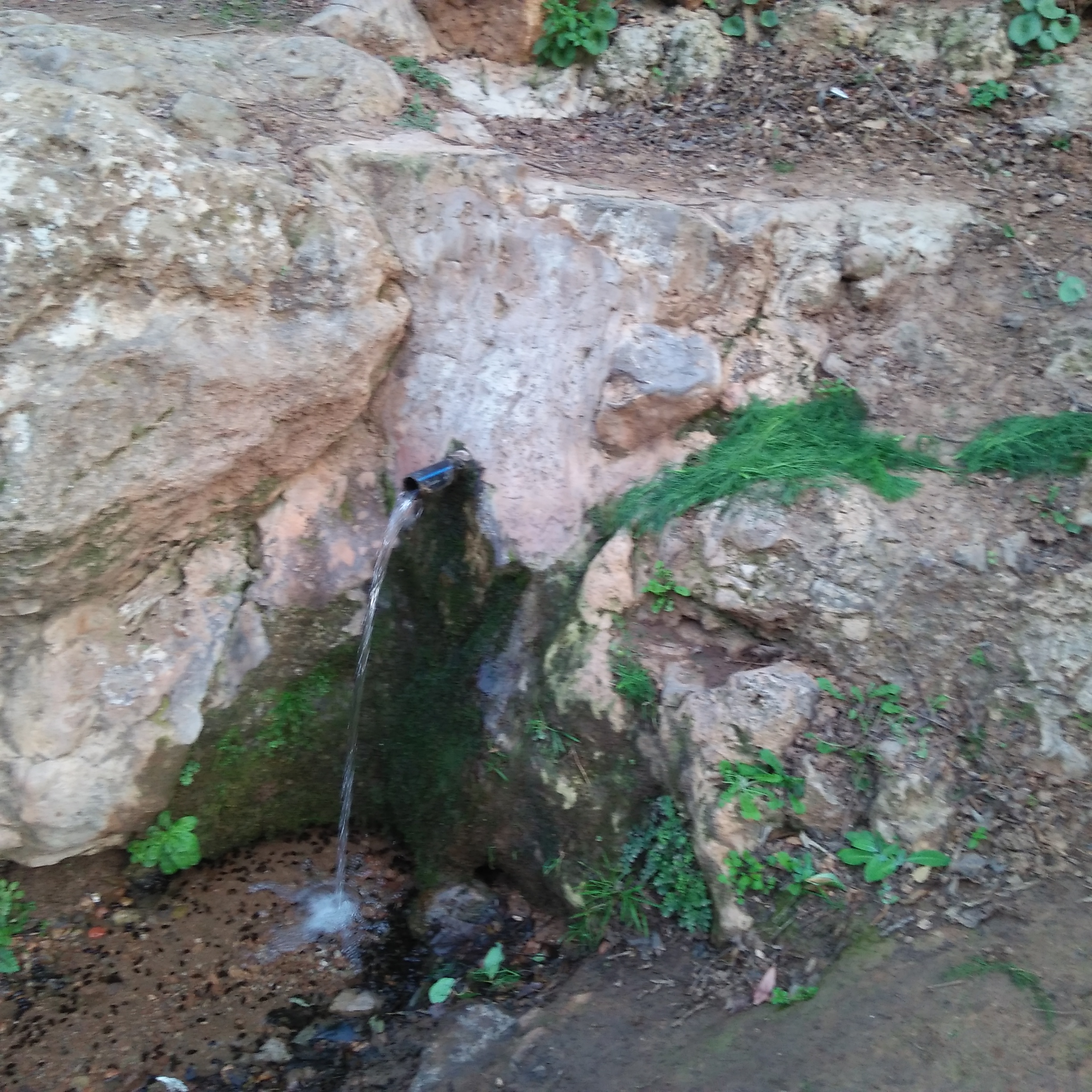 عين الشرشارة