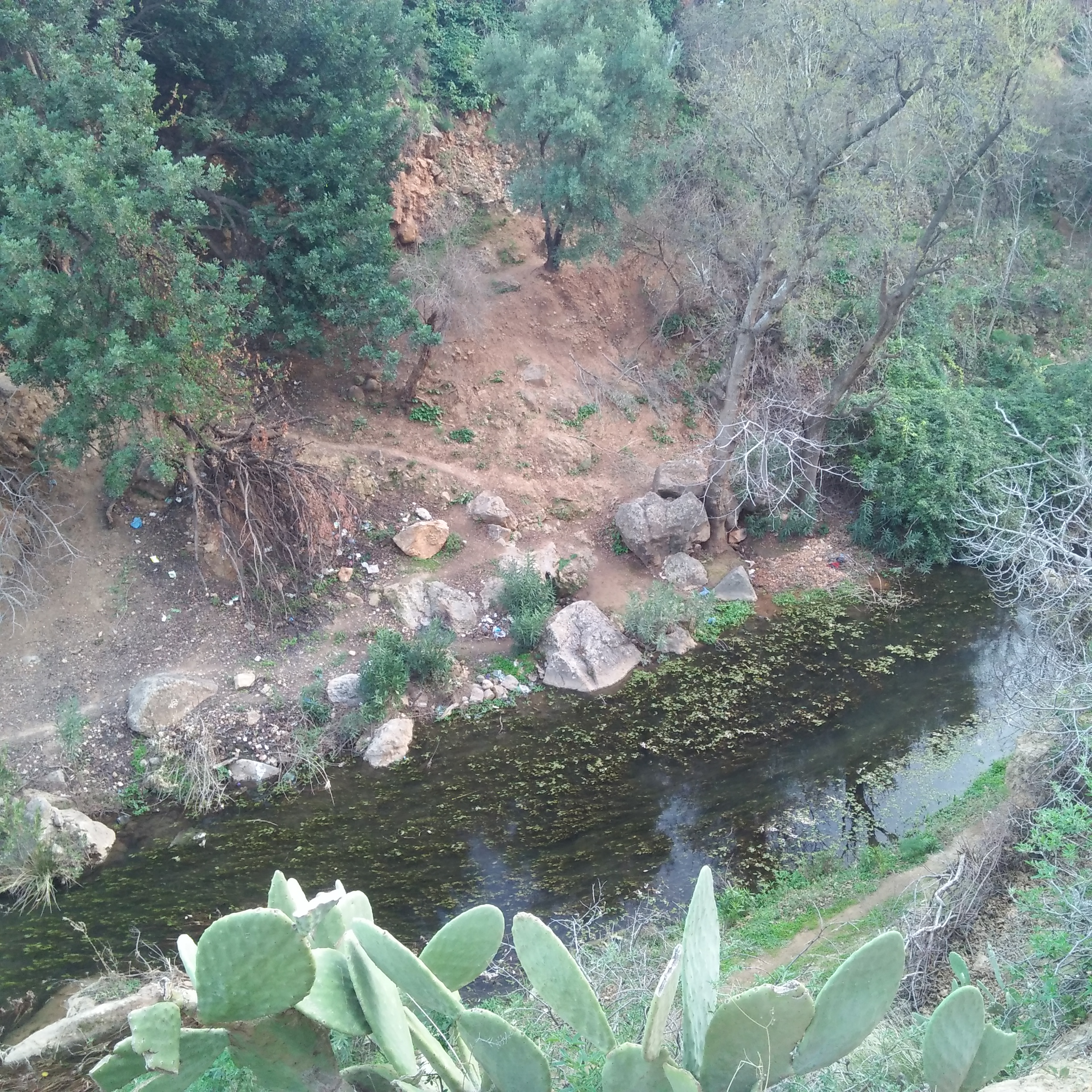 واد بني سنوس