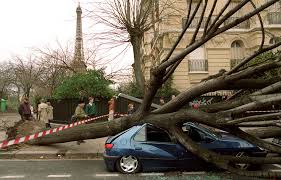 Planète (France) - Paris: Il y a 20 ans, les tempêtes Lothar et Martin dévastaient la France et l'Europe