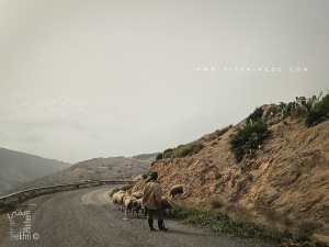 Mode de vie des bergers à l'ancienne (Oulhaça El Ghraba)