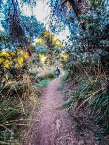 Marcher dans les sentiers de la foret du petit perdreau à Tlemcen est un véritable plaisir