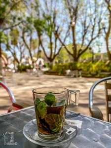 Un bon thé à Tlemcen sous les platanes de Saloon Pizzeria & Lounge