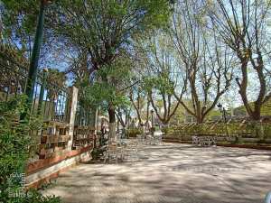 Cafeteria à Bab wahran Tlemcen sous les beaux platanes