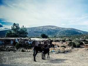 Le village de Tagma non loin de Oued Chouly