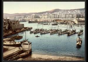 Vue depuis l'Amirauté. Alger (Algérie)