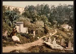 Le cimetière. Alger (Algérie)