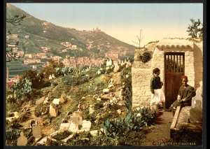 Partie du cimetière. Alger (Algérie)