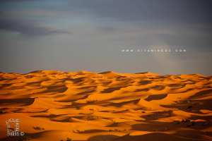 Le Grand Erg Occidental dans toute sa splendeur