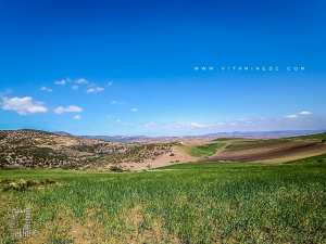 La région de Fellaoucene propice pour l'agriculture céréalière