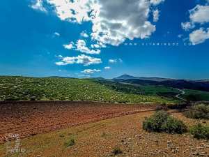Cherche des photos ou des informations sur le village abandonné de Zaylou (Fellaoucene)