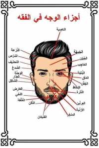 لا يوجد لغة في العالم أقوى وأدقّ وأغنى من اللغة العربية.