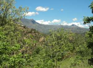 Promenade de printemps