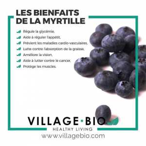 Les bienfaits de la Myrtille