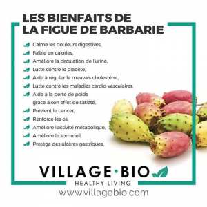 Les bienfaits de la figue de Barbarie
