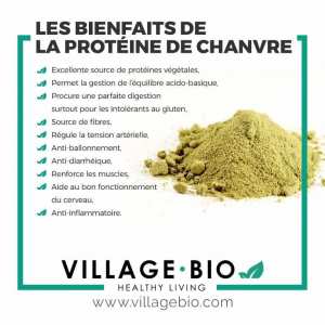 Les bienfaits de la proteine de Chanvre