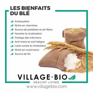 Les bienfaits du Blé