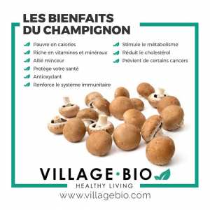 Les bienfaits du Champignon