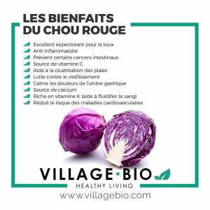 Les bienfaits du Chou Rouge