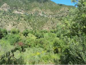 Promenade de printemps