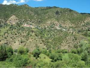Promenade de printemps