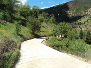 Promenade de printemps