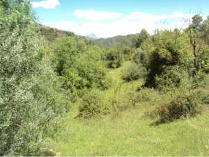 Promenade de printemps