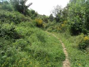 Promenade de printemps