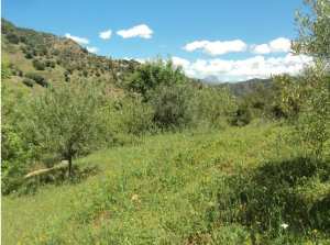 Promenade de printemps