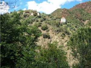 Promenade de printemps
