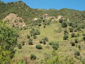 Promenade de printemps