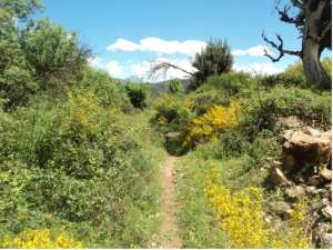 Promenade de printemps