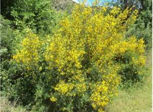 Promenade de printemps