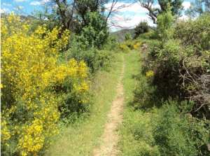 Promenade de printemps