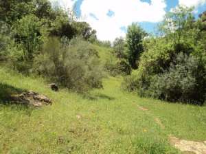 Promenade de printemps