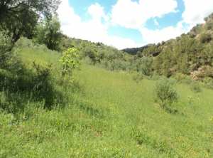 Promenade de printemps