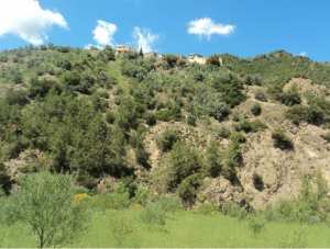 Promenade de printemps