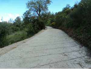 Promenade de printemps