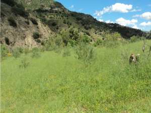 Promenade de printemps