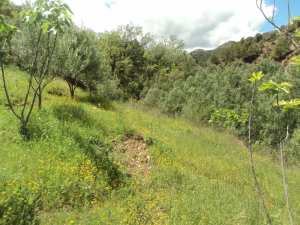 Promenade de printemps