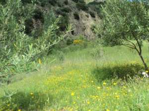 Promenade de printemps