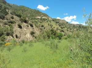 Promenade de printemps