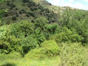 Promenade de printemps